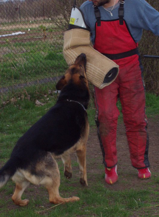 trénink.. 2005